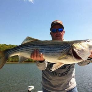 Meet your Posher, Steve